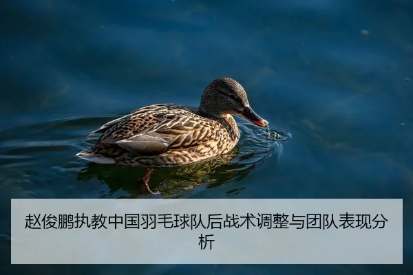 赵俊鹏执教中国羽毛球队后战术调整与团队表现分析